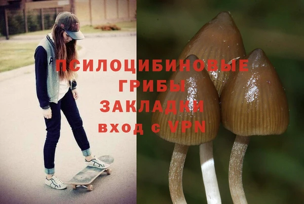 MDMA Premium VHQ Волосово