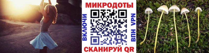Галлюциногенные грибы Psilocybe Новоржев
