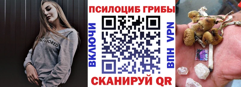 купить  цена  Новоржев  Галлюциногенные грибы прущие грибы 