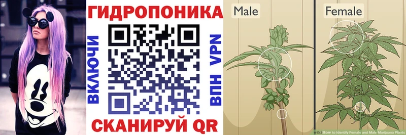 Бошки Шишки Bruce Banner  Новоржев 